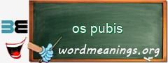 WordMeaning blackboard for os pubis